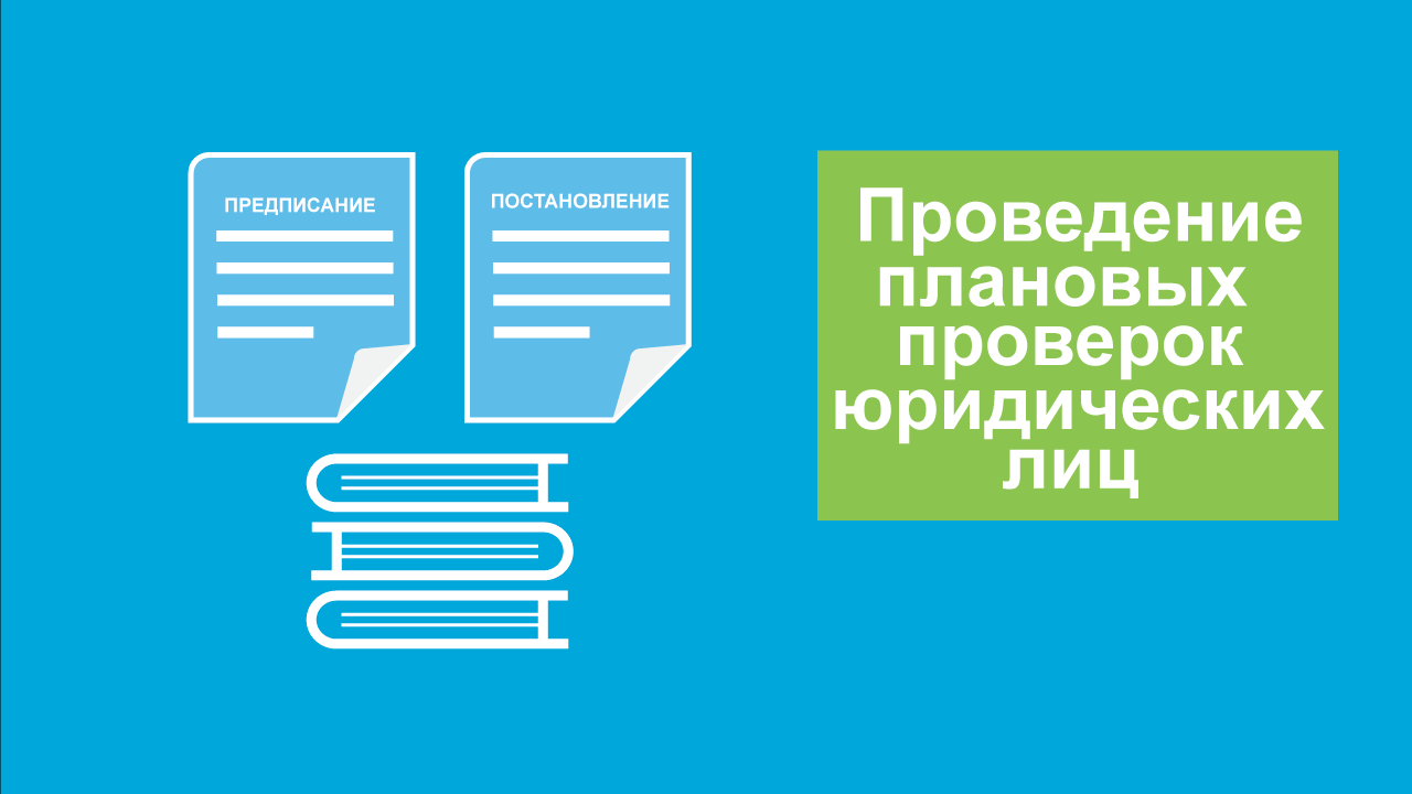 Плановая проверка. МП для юридических лиц. Синоним плановых проверок.